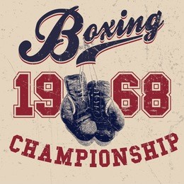 vintage boxing gloves vector illustration