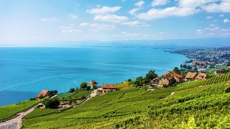 landscape of lavaux vineyard terrace hiking trail, lake geneva and swiss mountains, lavaux-oron district, switzerland