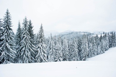 winter in the mountains