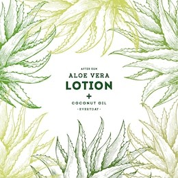 aloe vera frame. botanical design template. engraved style. vector illustration