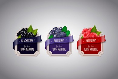realistic berry labels set with blackberry, blueberry and raspberry fruits isolated. berry jam label design template.