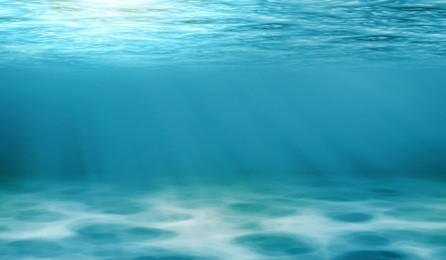 underwater view of the sea surface or tranquil underwater scene with copy space.