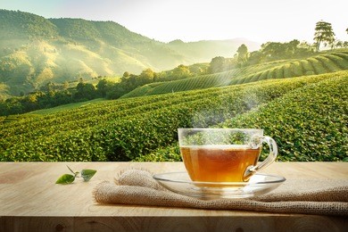 warm cup of tea and organic green tea leaf on wooden table with the tea plantations background