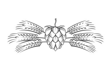 black illustration of hop and barley ear for brewing
