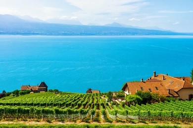 chalets in vineyard terraces hiking trail of lavaux, lake geneva and swiss mountains, lavaux-oron district of switzerland