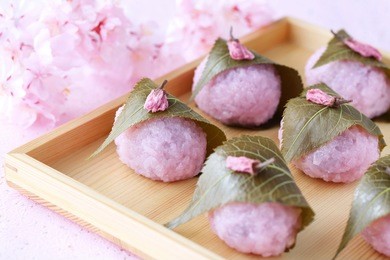 sakura mochi, japanese traditional confectionery wrapped with a salted cherry leaves