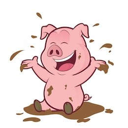 pig playing in the mud