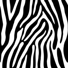 zebra texture seamless pattern
