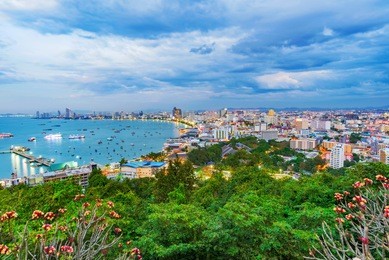 evening view of pattaya city with nature