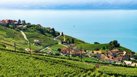 railway line at lavaux vineyard terrace hiking trail, lake geneva and swiss mountains, lavaux-oron district, switzerland