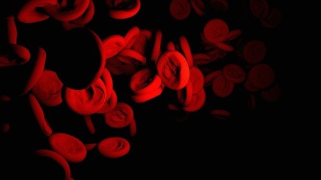 blood, red blood cells, red blood cells.