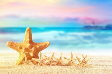 family starfish on a sandy beach near the sea. summer beach.