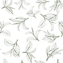 seamless pattern green tea, hand-drawn leaves and branches of tea