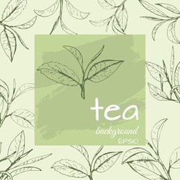 tea logo vector, background with painted leaves tea