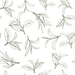 seamless pattern green tea, hand-drawn leaves and branches of tea