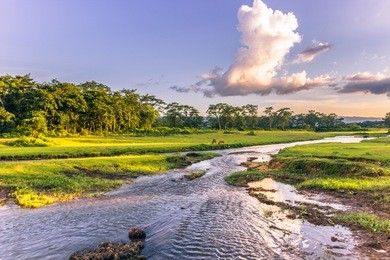 landscape of chitwan national park, nepal