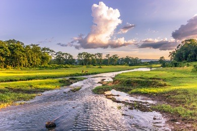 landscape of chitwan national park, nepal