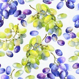 green,purple, delicious grapes. watercolor. illustration