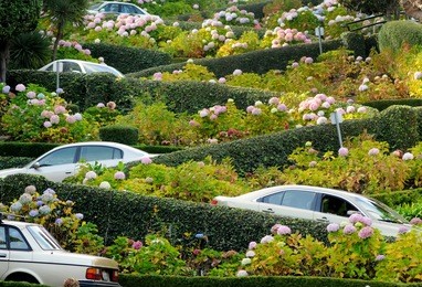 san francisco, lombard street, one of the most famous landmark and the crookedest street in the world.