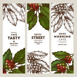 coffee tree illustration. engraved style illustration. vintage coffee banner collection. vector illustration