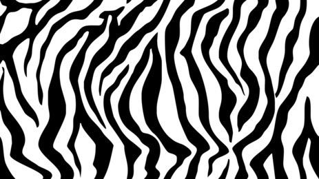 pattern texture tiger zebra white stripe repeated seamless black jungle safari