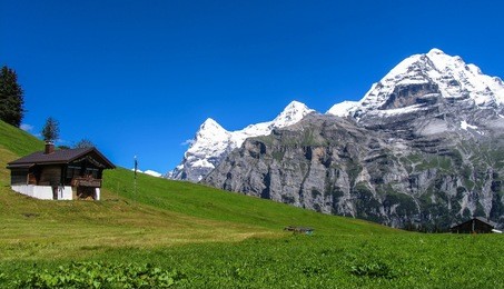 swiss beauty, on the path from schilthorn with view to jungfrau,bernese oberland,switzerland,europe
