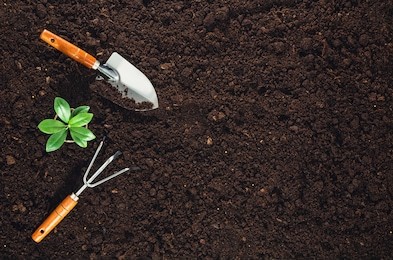 gardening tools on fertile soil texture background seen from above, top view. gardening or planting concept. working in the spring garden.