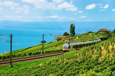 running train at the railroad in lavaux vineyard terraces hiking trail at lake geneva and swiss mountains, lavaux-oron district, switzerland