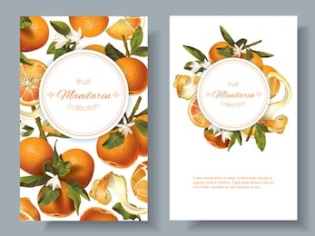 vector mandarin vertical banners on white background. design for sweets and pastries filled with fruit, dessert menu, natural cosmetics, health care products. with place for text