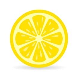 lemon slice vector icon illustration on white background. fresh sour vector lemon icon.