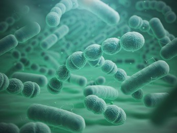 various bacteria cells in microscope. streptococcus pneumonia, pneumococcus, enterobacteriaceas, escherichia coli, salmonella, klebsiella and others. 3d illustration