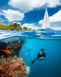 young woman doing scuba diving and exploring coral reef. underwater sports and tropical vacation template