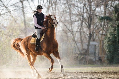 young pretty girl riding a horse