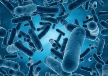 3d rendering bacteria closeup