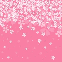 cherry blossoms background