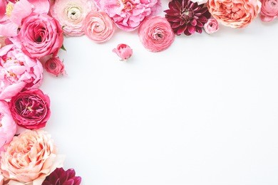 pink floral / assorted pink flower border on white background