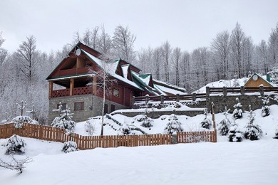 wooden house in the woods