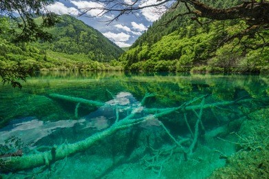 chinese landscape - jiuzhaigou - aba - sichuan - china