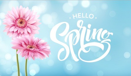 gerbera flower background and spring lettering. vector illustration eps10