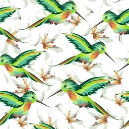 tropical green birds hummingbirds and white flowers background vector seamless pattern