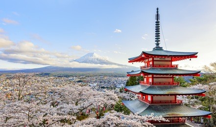 fuji-san and chureito pagoda in sakura cherry blossom, yamanashi, japan
