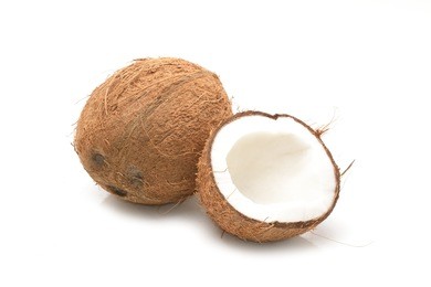 coconut on a white background