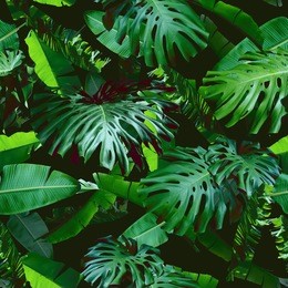 tropical floral leaves seamless pattern green color on a black jungle background. natural photo collage green color. artistic design for floral print and modern wallpaper.