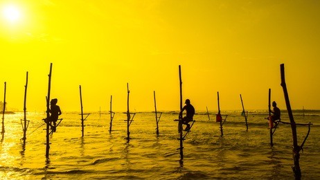 sri lanka's traditional fisherman on sunset. fishing on silt is very common in many asian countries but most of all - in sri lanka