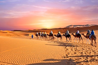 camel caravan going through the sand dunes in the sahara desert, morocco.