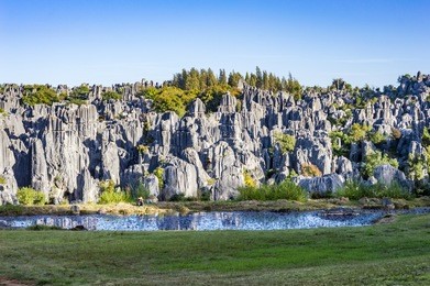 stone forest in shilin, kunming, yunnan province, china