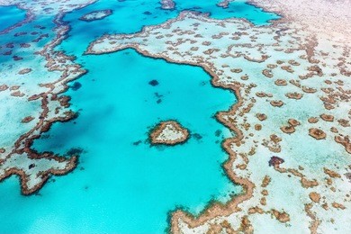heart reef in the whitsundays queensland australia