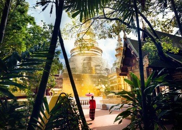 woman tourist with red traditional thai umbrella near golden temple wat phra singh in chiang mai, thailand