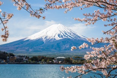 mount fuji with cherry blossom at lake kawaguchiko in japan 