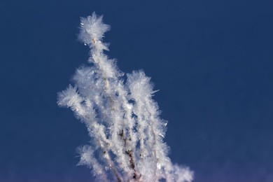 beautiful view of snowy winter grass.